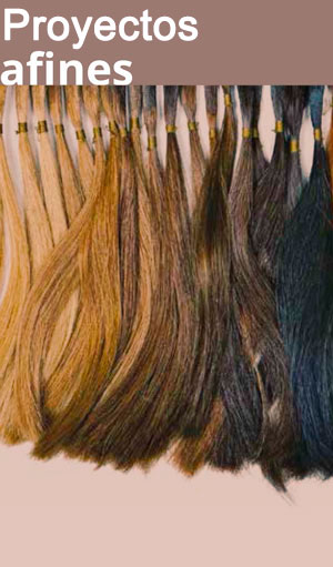 somos instituciones afines