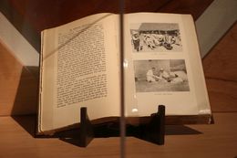 IMG 2392_copy